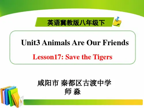 冀教版英语八年级下册  Unit 3  Lesson 17《Save the Tigers》课件(共23张) (1)