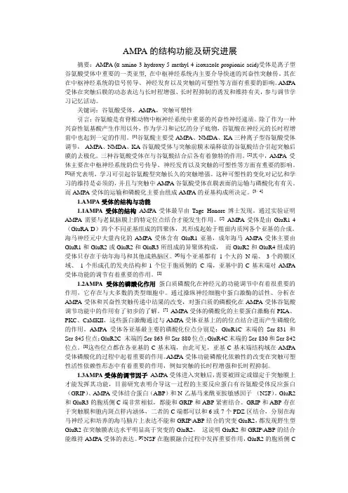 AMPA的结构功能及研究进展