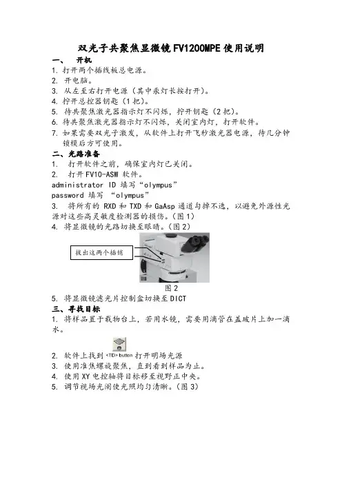 双光子共聚焦显微镜FV1200MPE使用说明