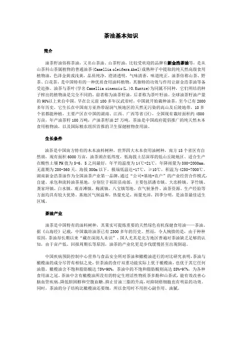 茶油基本知识全介绍