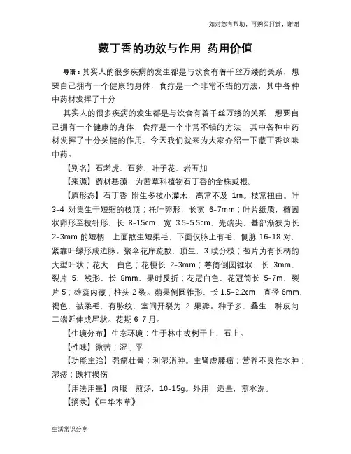 藏丁香的功效与作用 药用价值
