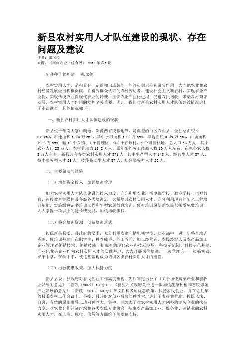 新县农村实用人才队伍建设的现状、存在问题及建议
