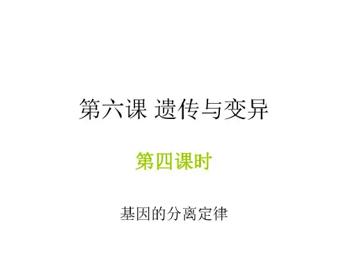 高二生物基因的分离定律