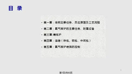 炼钢工艺流程及典型案例介绍PPT课件