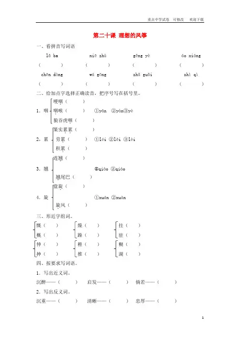 最新六年级语文下册 20 理想的风筝同步课时练 北京版