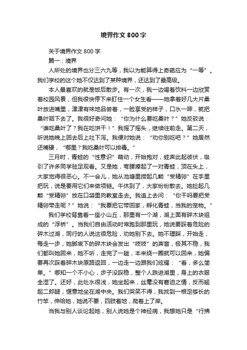 关于境界作文800字