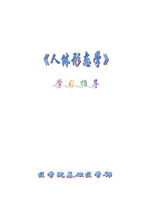 人体形态学学习指导