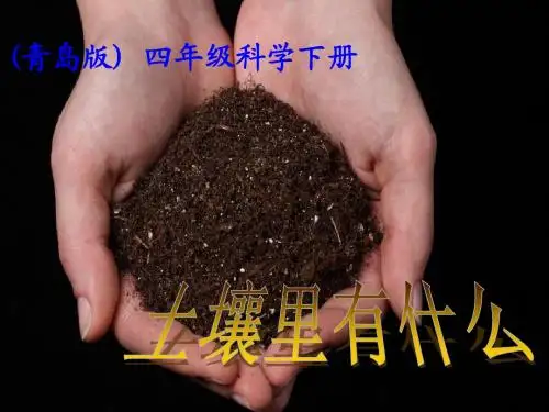 四年级科学下册课件_土壤里有什么