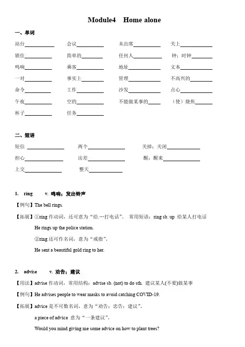 +Module4++Home+alone+讲义 外研版九年级英语上册