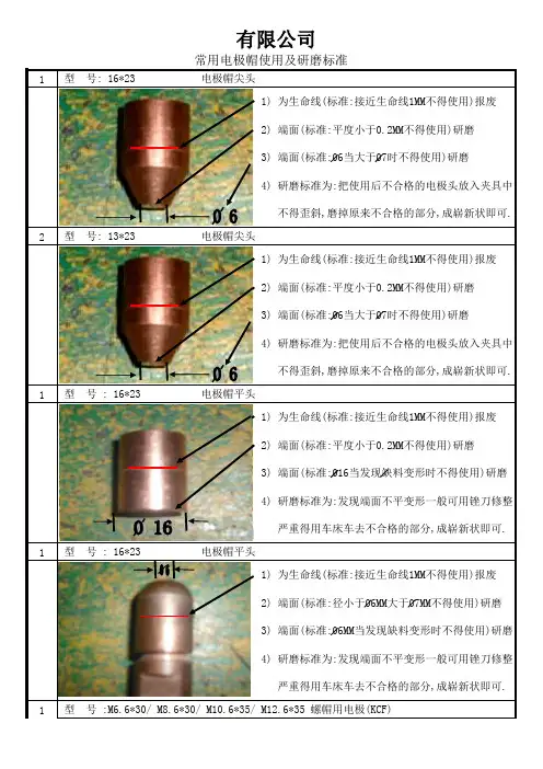 电极头标准