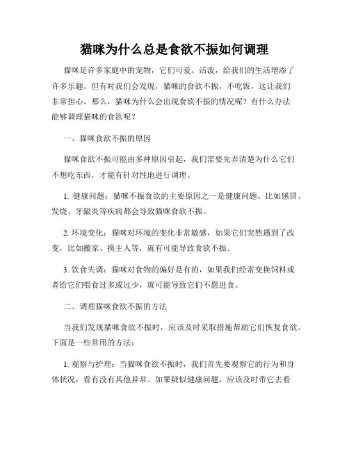 猫咪为什么总是食欲不振如何调理