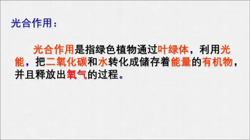 绿色植物的呼吸作用