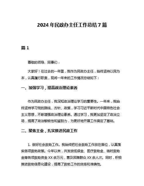 2024年民政办主任工作总结7篇