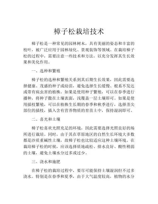 樟子松栽培技术
