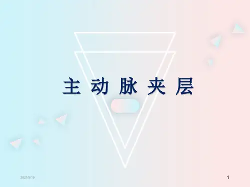 主动脉夹层讲课PPT课件