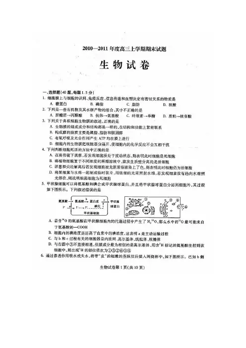 黑龙江省哈师大附中2011届高三期末考试(生物)