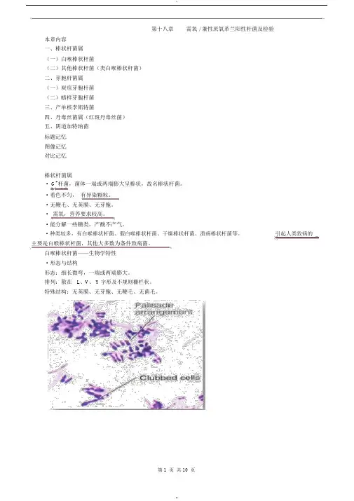 临床检验技师-微生物检验(2019)讲义第十八章需氧兼性厌氧革兰阳性杆菌及检验-(1008)