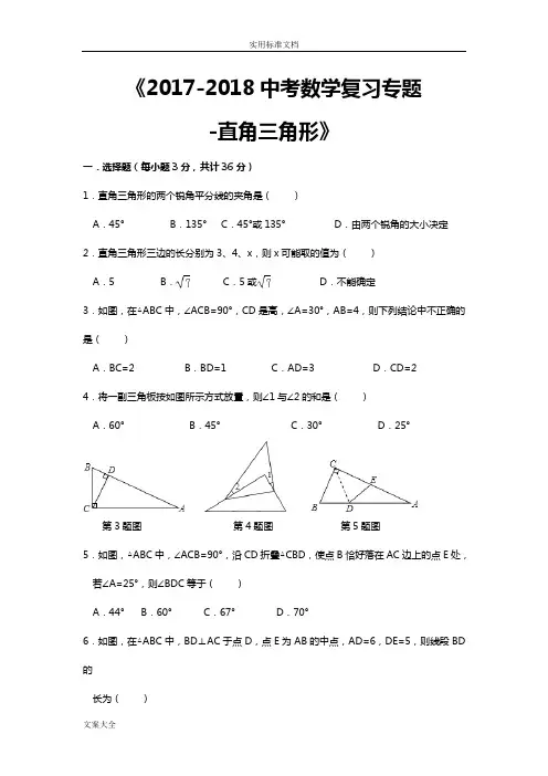 最新数学中考复习专题直角三角形