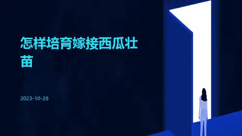 怎样培育嫁接西瓜壮苗