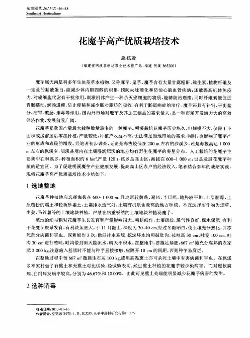花魔芋高产优质栽培技术