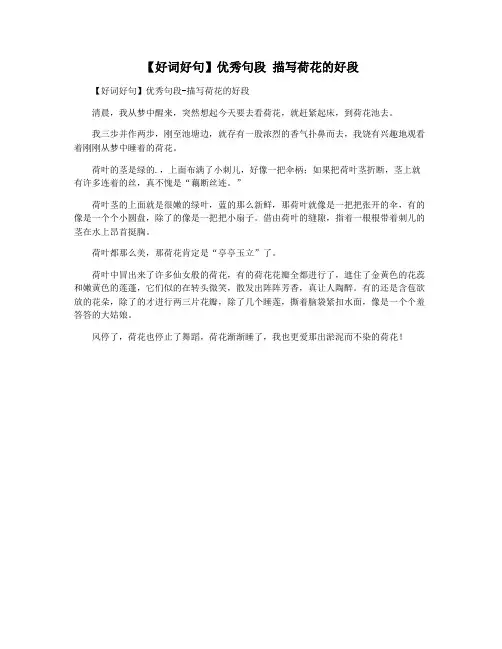 【好词好句】优秀句段 描写荷花的好段