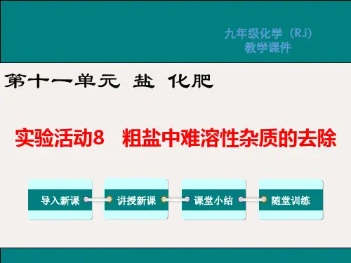 九年级化学下册 第十一单元实验活动8 粗盐中难溶性杂质的去除教学课件 (新版)新人教版
