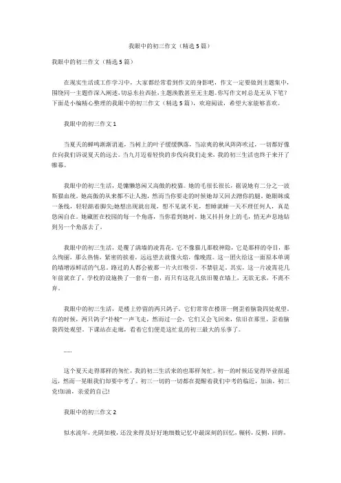 我眼中的初三作文(精选5篇)
