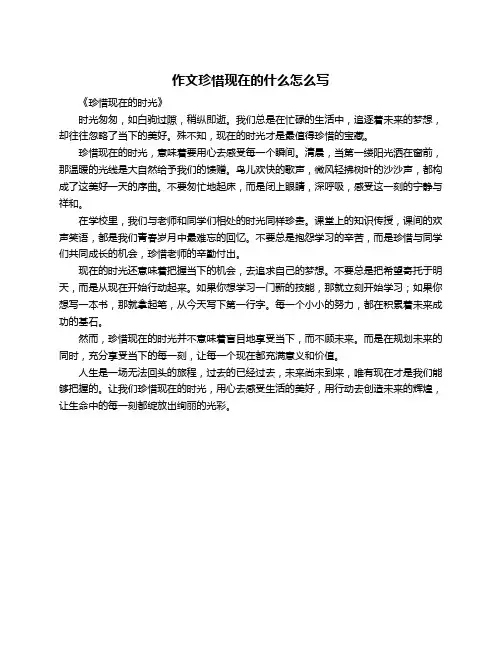 作文珍惜现在的什么怎么写