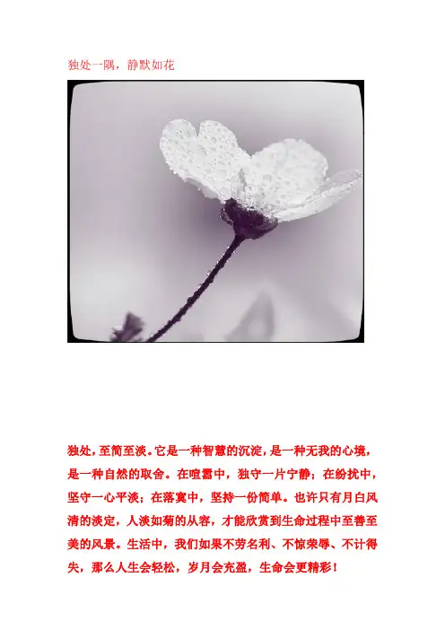 独处一隅,静默如花