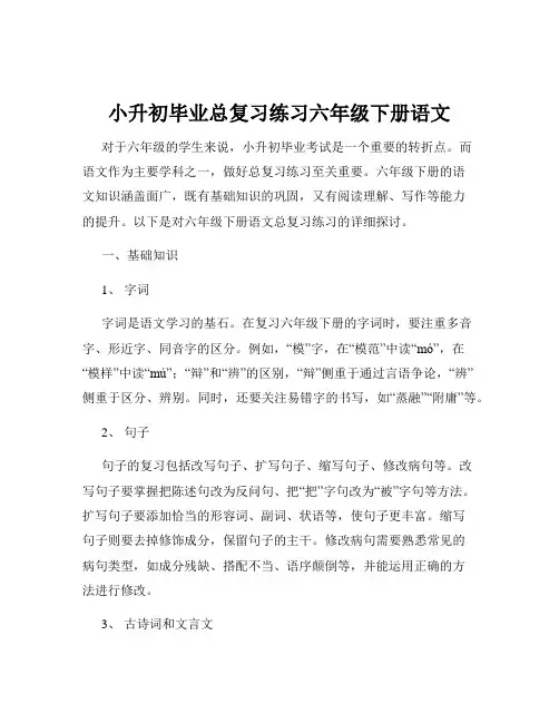 小升初毕业总复习练习六年级下册语文