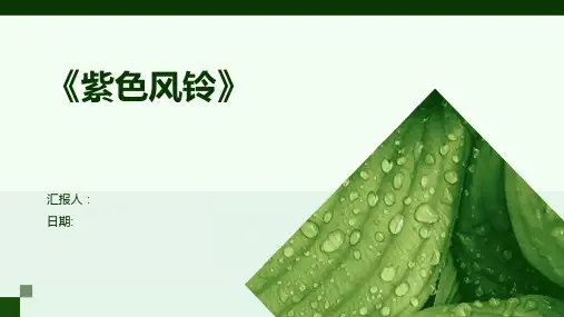 《紫色风铃》