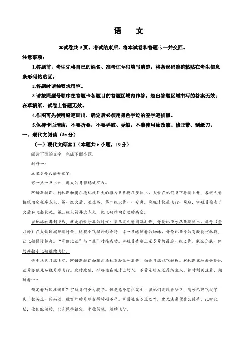 2024年新课标全国Ⅱ卷语文高考真题(解析版)