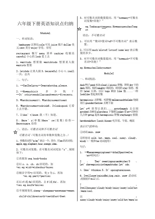 外研版六年级下册英语知识点梳理