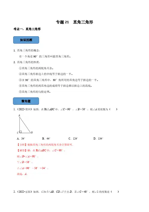 专题21 直角三角形篇(解析版)