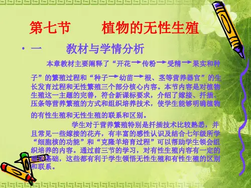 八年级上生物全册课件ppt(花的结构与类型等21个) 济南版1
