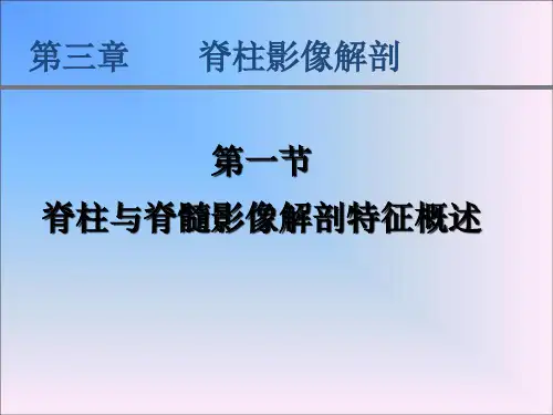脊柱影像解剖