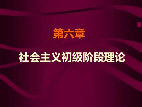 社会主义初级阶段理论【精选-PPT】