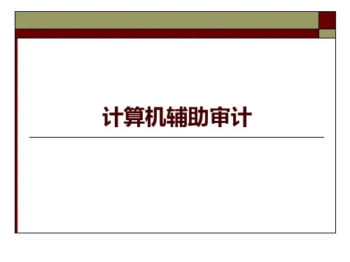 计算机辅助审计PPT课件