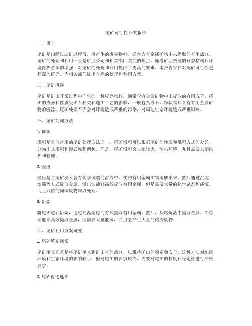 尾矿可行性研究报告