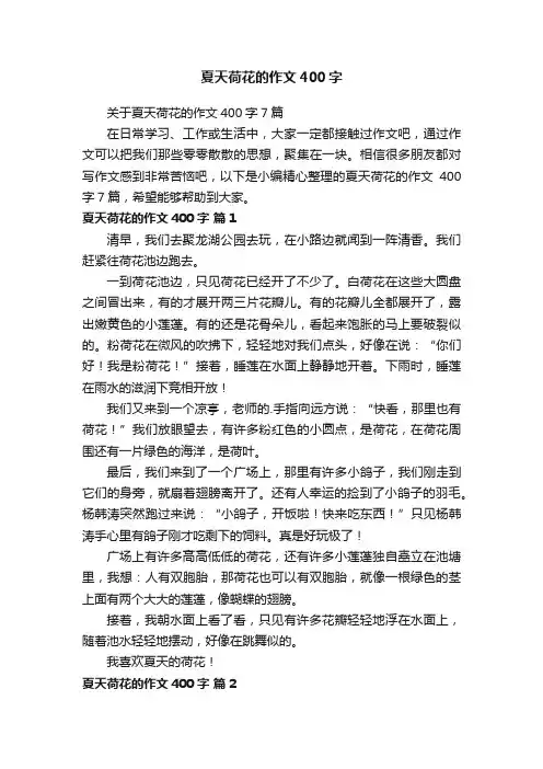 夏天荷花的作文400字