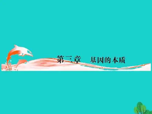 高三生物一轮复习第三章DNA是主要的遗传物质(第1课时)精品课件(必修2)
