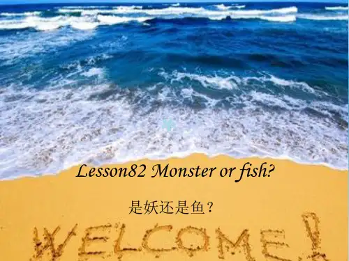 新概念第二册  82课 Monster or fish