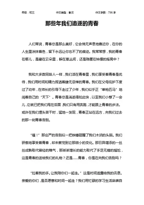 那些年我们追逐的青春作文【初中初三700字】
