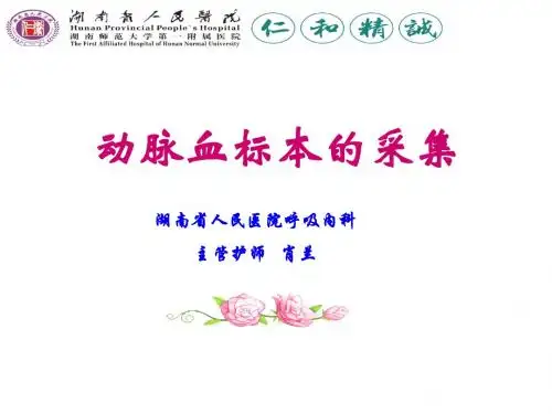 动脉血标本的采集