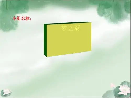 市场营销组织架构(ppt28张)
