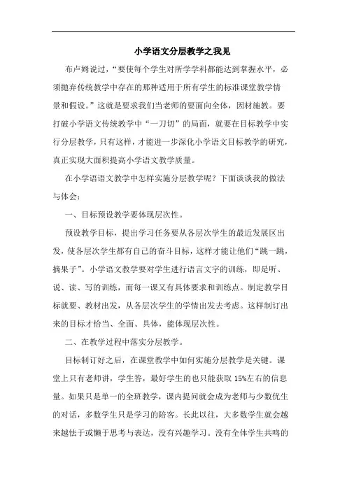 小学语文分层教学论文