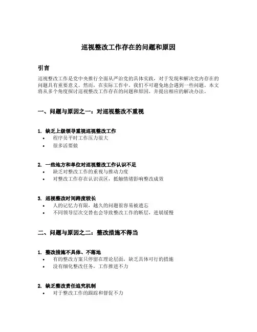 巡视整改工作存在的问题和原因