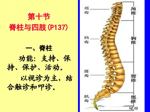 第四章第十节 脊柱与四肢评估