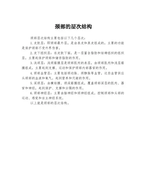 颈部的层次结构