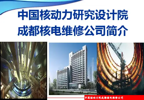 (成都海光核电技术服务有限公司)成都大华科技开发公司简介
